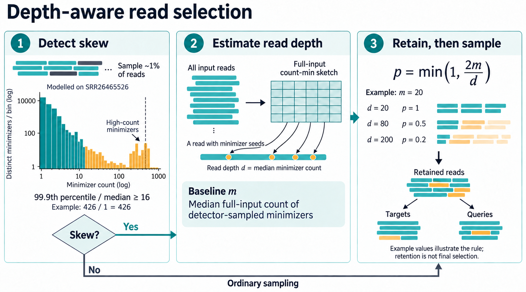 Depth normalisation in three steps. Panel 1 is modelled on SRR26465526: a large low-count minimizer population and a smaller high-count bump, shown on logarithmic axes. The detector's median count is 1 and its 99.9th percentile is 426. Skew triggers full-input profiling and retention with probability min(1, 2m/d), followed by sampling targets and queries. Panel 3 uses a separate illustrative baseline of m equal to 20.